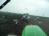 ploughing 2013.jpg